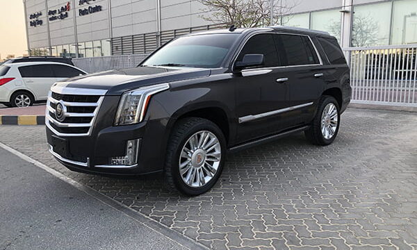 used cars in uae